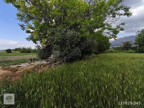 DENİZLİ KAYHAN'DA ŞAHANE KONUMDA 3 DÖNÜM ARAZİ - DENİZLİ PAMUKKALE fotoğraf 3